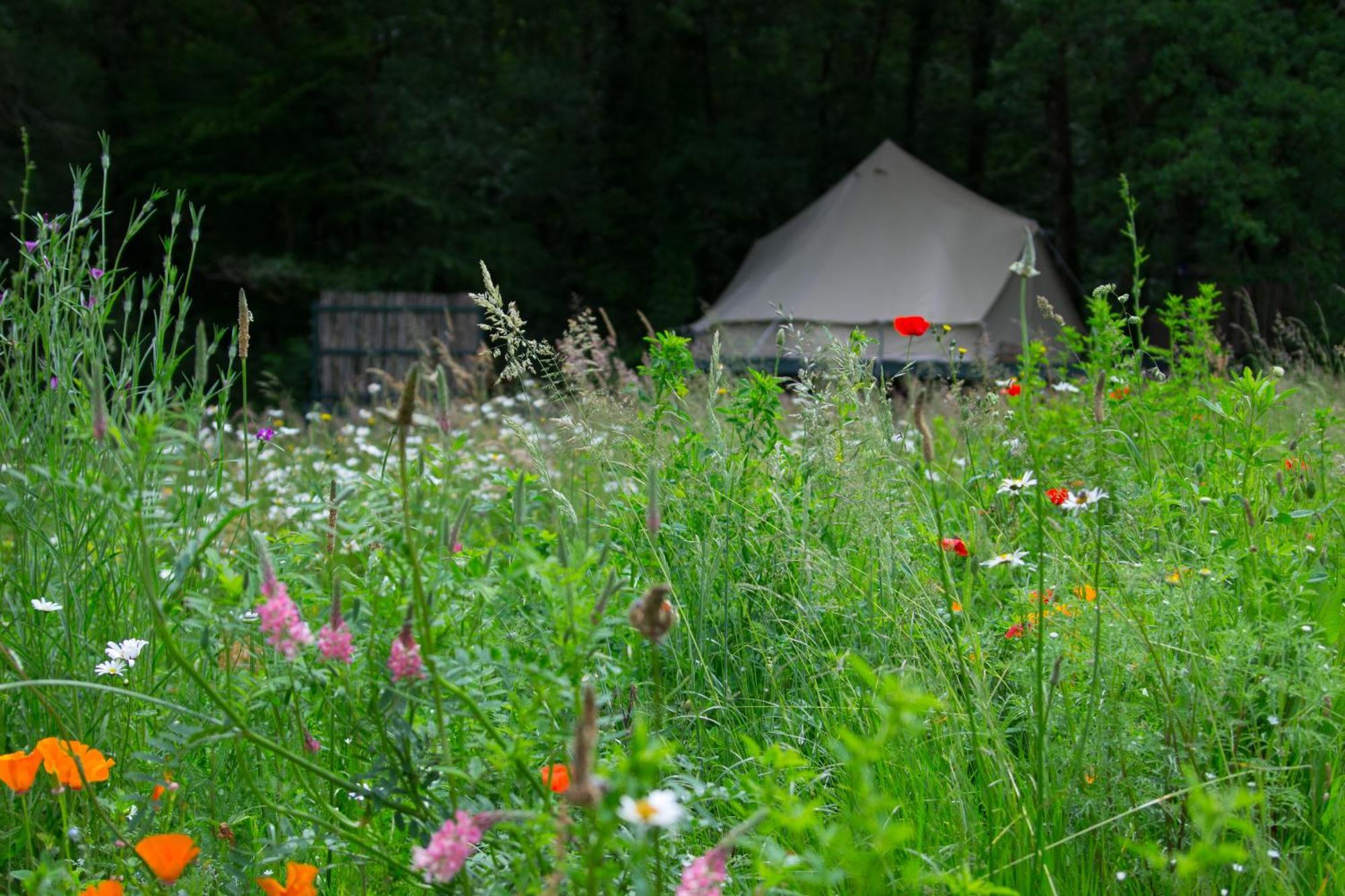 Belair Le Camping Champagnac-de-Belair Ngoại thất bức ảnh
